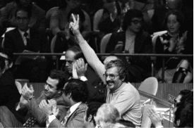 The Glimmer of Hope in Resolution 3236